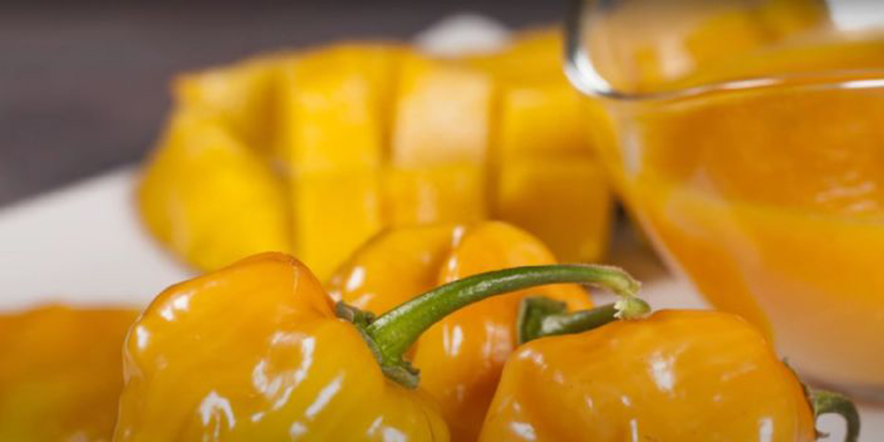 Disfruta del Sabor Picante y Dulce con esta Receta de Salsa de Mango con Habanero | El Imparcial de Oaxaca