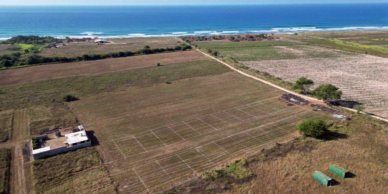 Boom de venta ilegal de tierra en la Costa