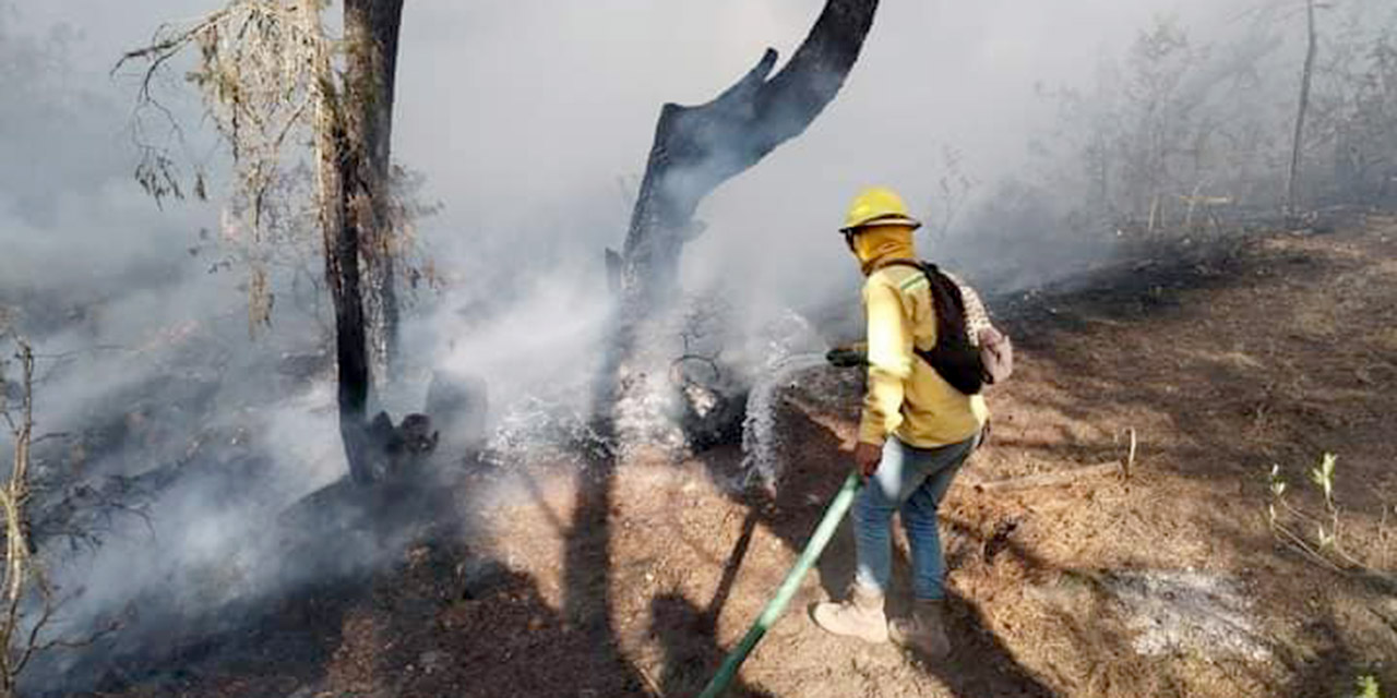 Escala Oaxaca al tercer lugar por daños a causa de incendios | El Imparcial de Oaxaca