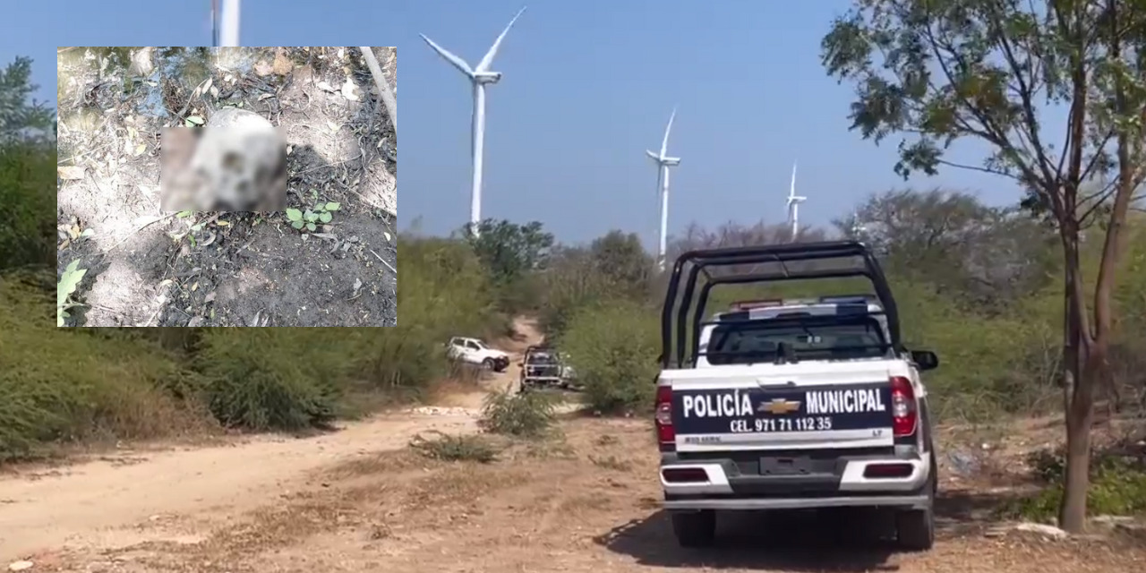 Encuentran osamenta humana en terreno baldío de Juchitán | El Imparcial de Oaxaca