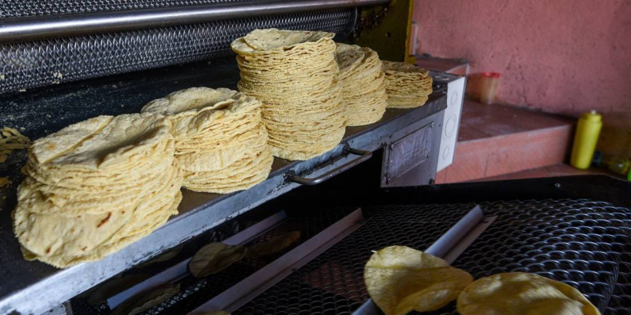 ¿Morelos enfrenta escasez de tortillas debido al crimen organizado? | El Imparcial de Oaxaca