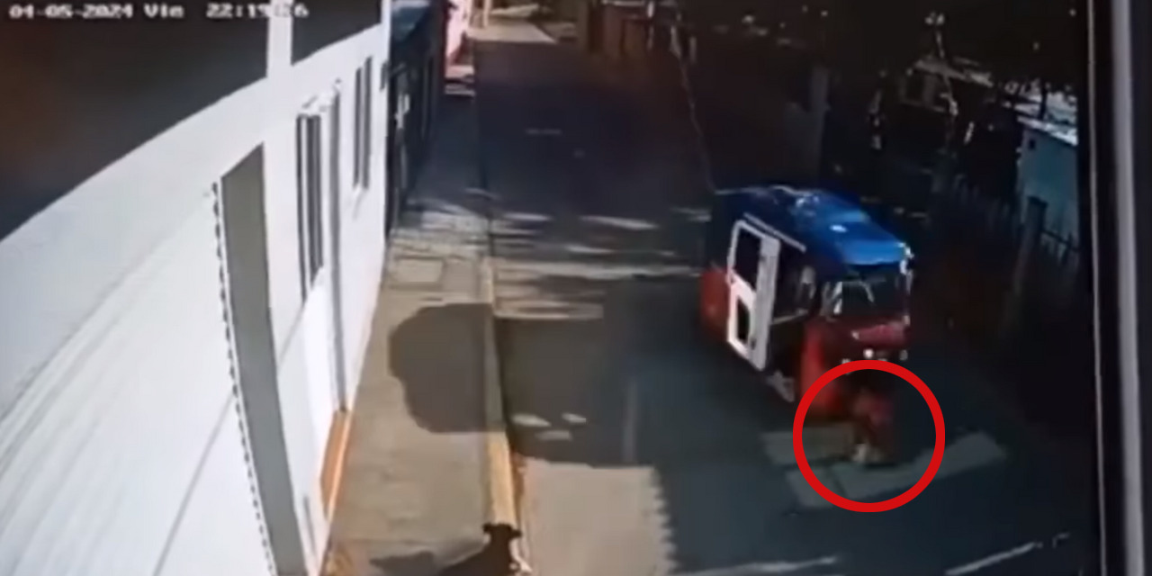 VIDEO: Despiadado mototaxista atropella a perrito | El Imparcial de Oaxaca