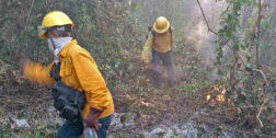 Foto: cortesía // Brigadistas de Coesfo informaron que se controló al 100 por ciento el incendio forestal registrado en los municipios de Santa María Huatulco y San Miguel del Puerto, en la región Costa.