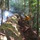 Alertan por sequedad extrema en zonas boscosas de Oaxaca