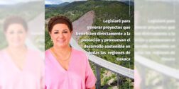 Foto: cortesía // Carmelita Ricárdez, candidata al Senado por el PRI.