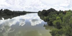 Foto: cortesía // Crece la contaminación del río Papaloapan.
