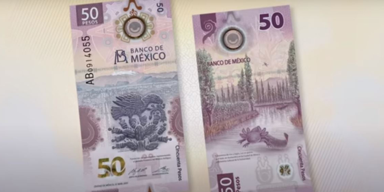 ¿Cuánto valen realmente los billetes del ajolote? | El Imparcial de Oaxaca
