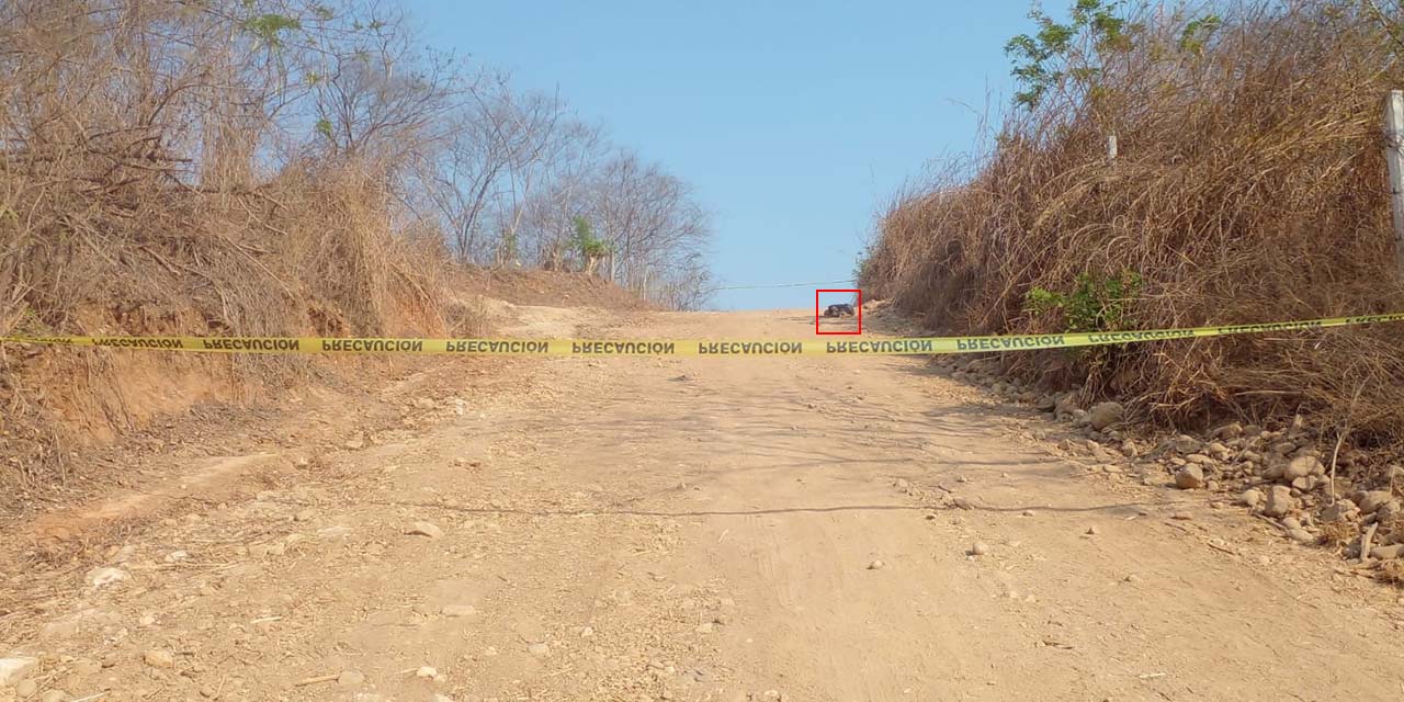 El cuerpo se encontraba tirado a un kilómetro de la comunidad de La Nopalera, Colotepec.
