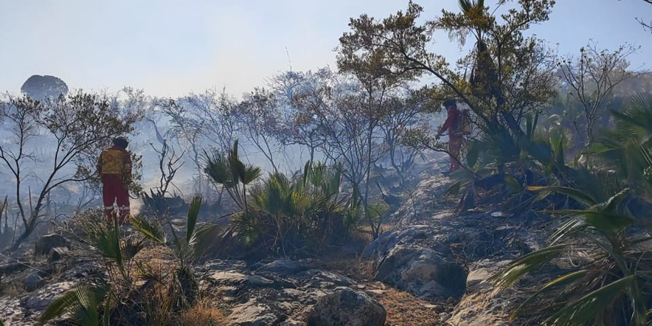 Incendio consume  10 hectáreas en la  agencia Acatlima | El Imparcial de Oaxaca