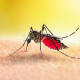 Rebasa Oaxaca los 100 casos de dengue