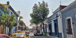 Foto: Jesús Santiago // Intensifican acciones de podas de árboles en calles del Centro Histórico.