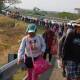 Detectan hasta 5 rutas de migrantes en Oaxaca