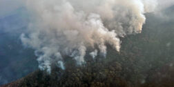 Foto: cortesía // Más de 13 mil 364 hectáreas de pastizales y bosques han sido arrasadas por los incendios forestales en la entidad.