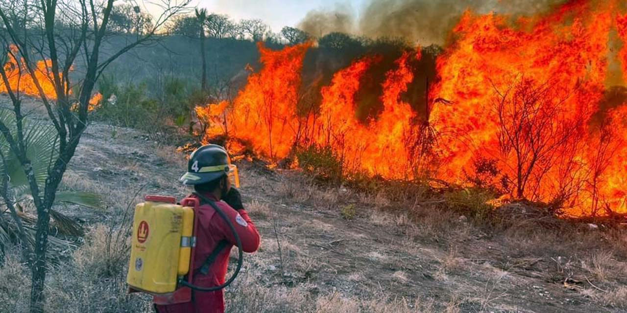 Incendio arrasó 300 hectáreas en Chila de la Flores