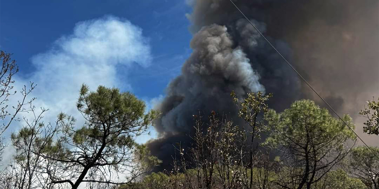 Por más de cinco días estuvo activo el incendio forestal en esta parte de la Mixteca.