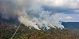 Foto: cortesía // Sigue activo el incendio forestal en los municipios de San Carlos Yautepec, San Miguel del Puerto y Santa María Ecatepec, en la Sierra Sur; Conafor reportó este miércoles que se encuentra controlado en un 70%.