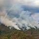 De Oaxaca, 65% de bosque dañado por el fuego en el país