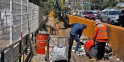 Foto: cortesía // Trabajadores de Limpia del municipio levantan los desechos abandonados en camellones.