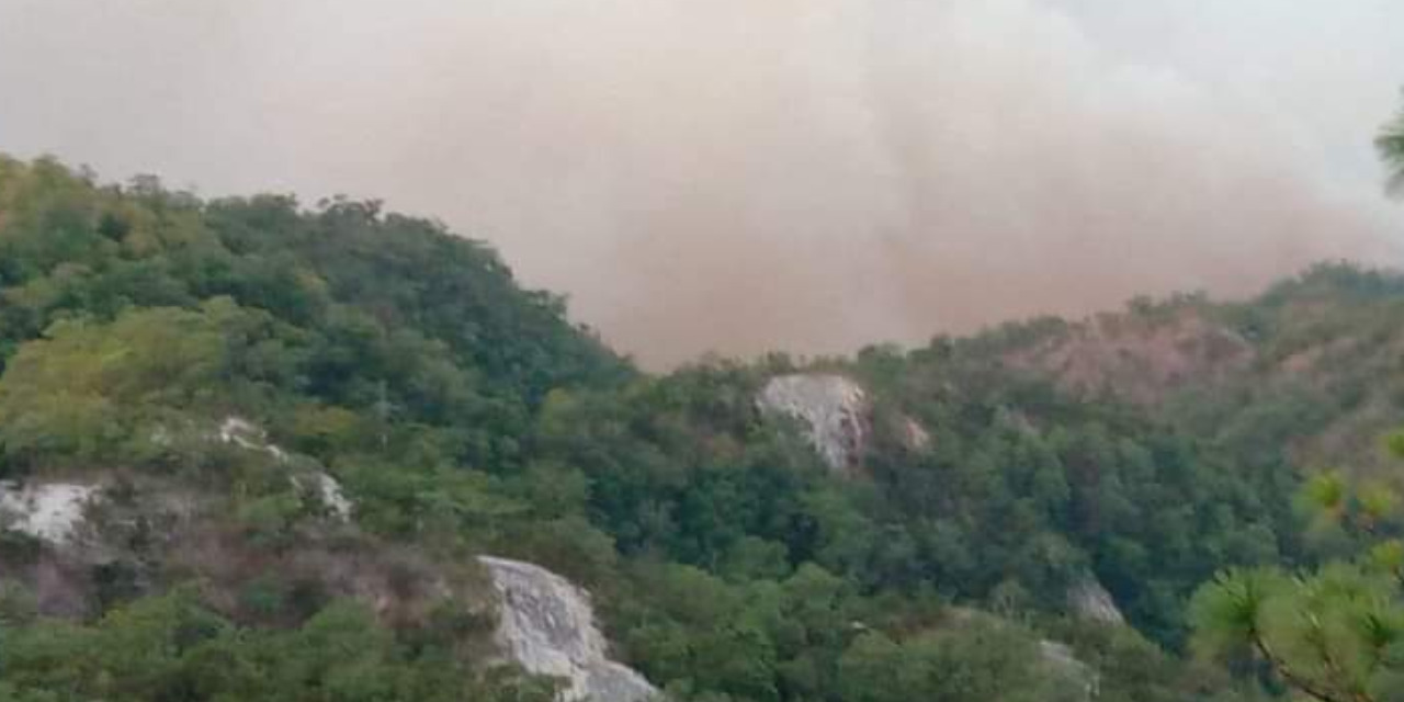 Incendio en Santiago Lachiguiri: Coesfo reporta un 40% de control | El Imparcial de Oaxaca
