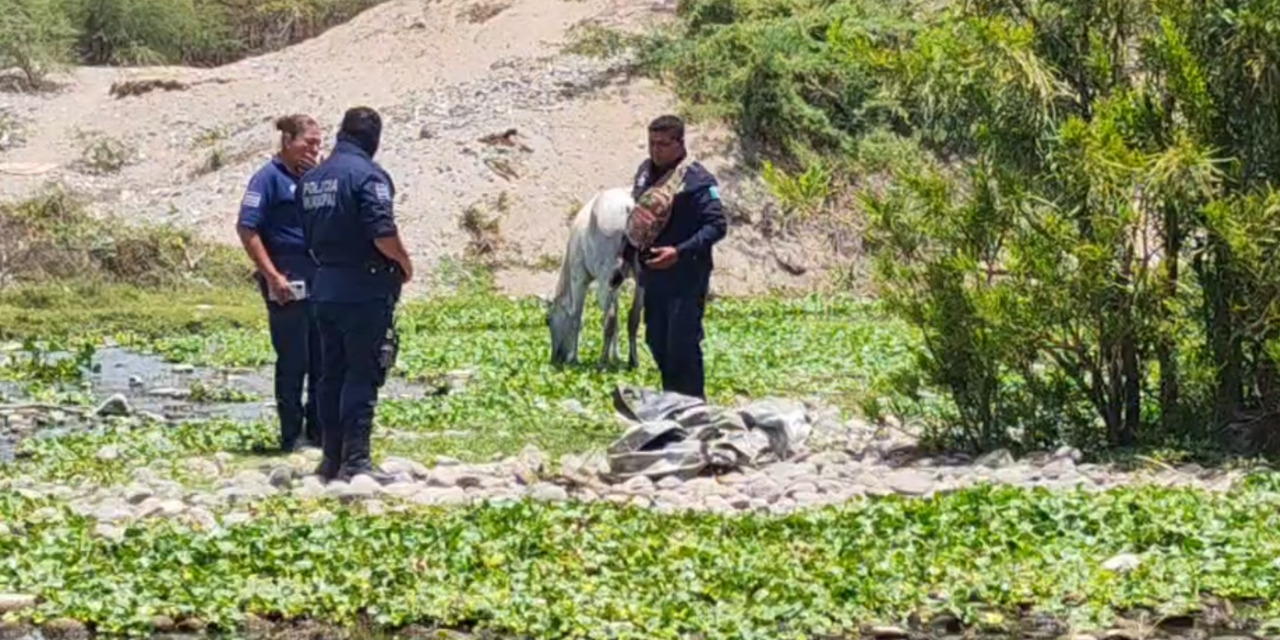Localizan cuerpos en Tehuantepec | El Imparcial de Oaxaca