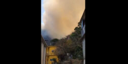 Incendio arrasa miles de hectáreas en Santiago Lachiguiri, Oaxaca