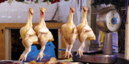 Foto: ilustrativa // Productos básicos como el azúcar y pollo registraron aumentos en marzo.