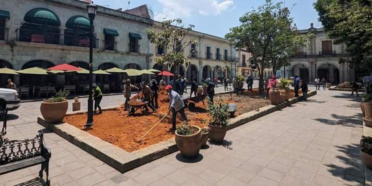 Centro Histórico, zona comercial dejó de ser habitable: Porras | El Imparcial de Oaxaca