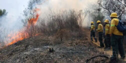 Foto: Archivo El Imparcial // Al menos 12 incendios forestales siguen activos en la entidad.