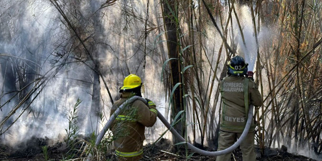Bomberos controlaron incendio en riberas del río Mixteco.