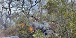 Foto: cortesía // Brigadistas de Coesfo, Conafor y comuneros, han combatido los incendios forestales que han cobrado la vida de seis oaxaqueños este año.