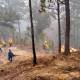 Suman seis decesos por incendios forestales en 2024