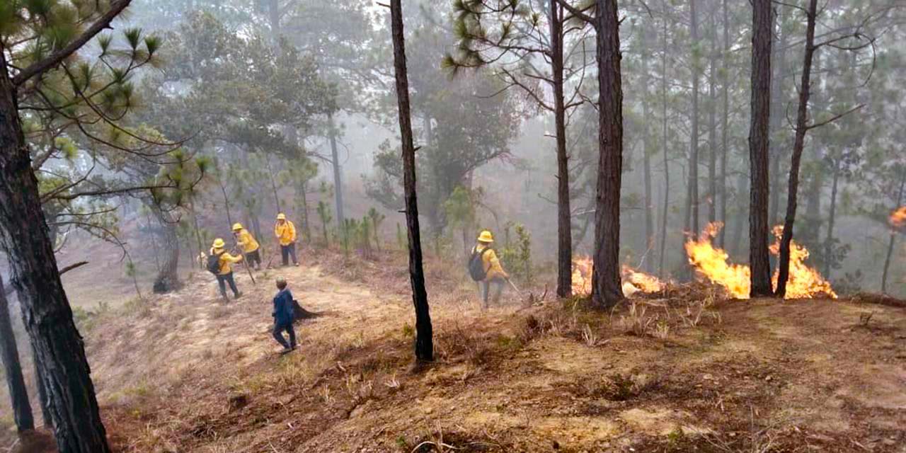 Foto: cortesía - ilustrativa // Todos ellos fallecieron cuando participaban como voluntarios para combatir las feroces llamas.