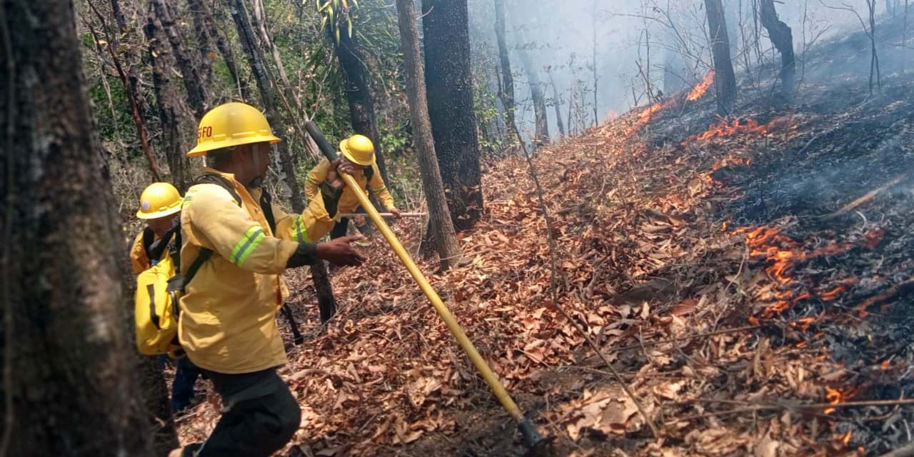 Foto: cortesía // Brigadistas de Conafor combaten los incendios forestales.