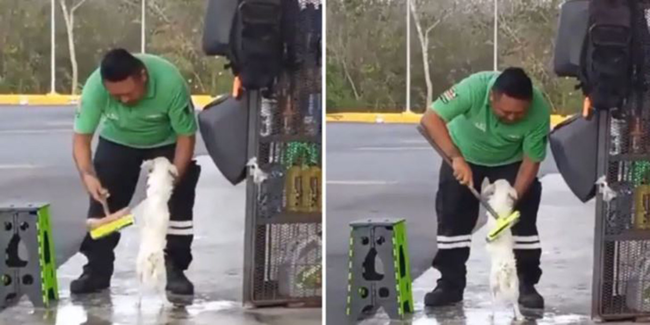 VIDEO: Empleado de gasolinera es captado bañando a un perrito | El Imparcial de Oaxaca