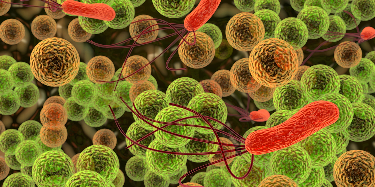 Alerta por superbacterias más peligrosas que el Covid-19