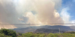 Foto: cortesía // El incendio forestal que arrasa con bosques de los municipios de San Pablo Villa de Mitla y Villa Díaz Ordaz, sigue fuera de control.