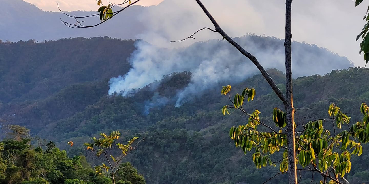 ¡Emergencia! Continúa incendio en parte oriente de la Costa | El Imparcial de Oaxaca