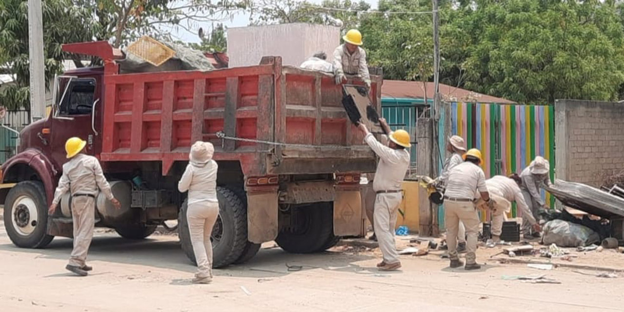 Analizan seis decesos por presunto dengue