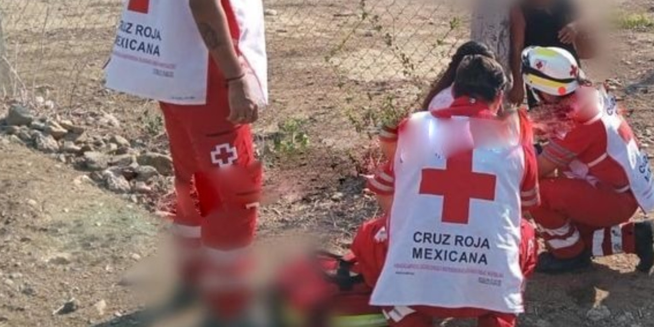 Joven embarazada brutalmente golpeada por la expareja de su mamá | El Imparcial de Oaxaca