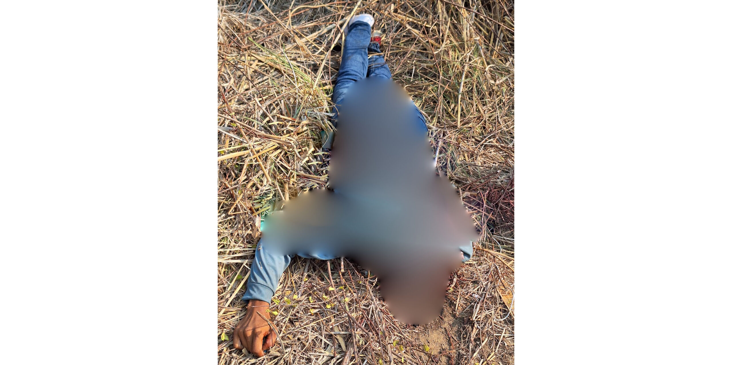 ¡Horror en la zona norte del Istmo! Hallan cadáver decapitado | El Imparcial de Oaxaca