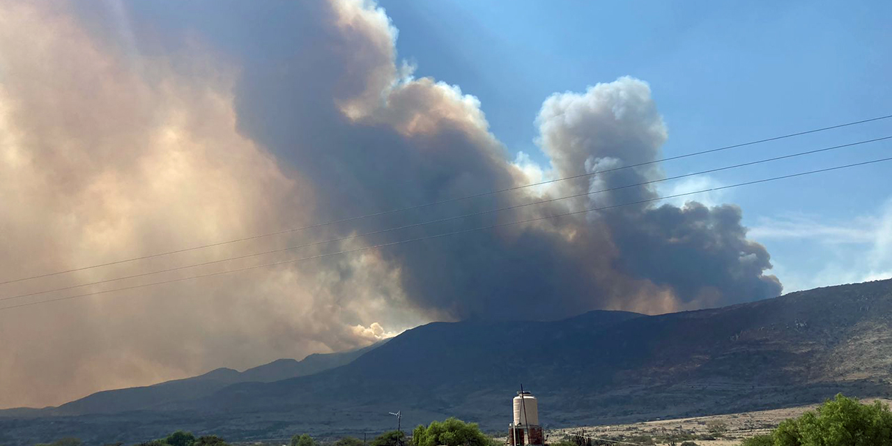 Foto: cortesía // El incendio forestal que inició hace varios días en San Miguel Albarradas y Villa Díaz Ordaz, sigue avanzando en territorio de Mitla.