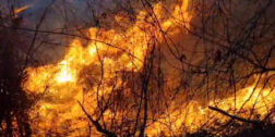 VIDEO | Incendio descontrolado amenaza comunidades en Tututepec