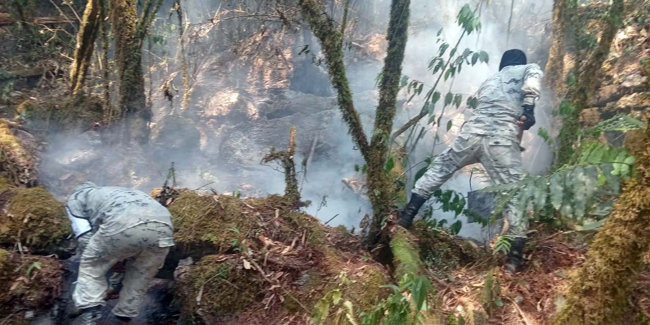 Foto: Guardia Nacional // Más de mil hectáreas fueron arrasadas por los incendios forestales en el municipio de San José Tenango, elementos de la GN ayudan a sofocar las llamas.