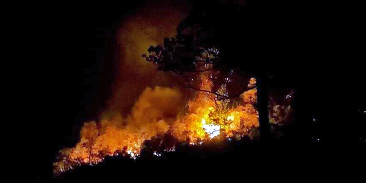 A causa de los incendios merma venta de madera en la Región Mazateca.