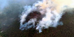 Al menos cuatro incendios forestales arrasan con los bosques de la Sierra de Flores Magón, en el municipio de San José Tenango.