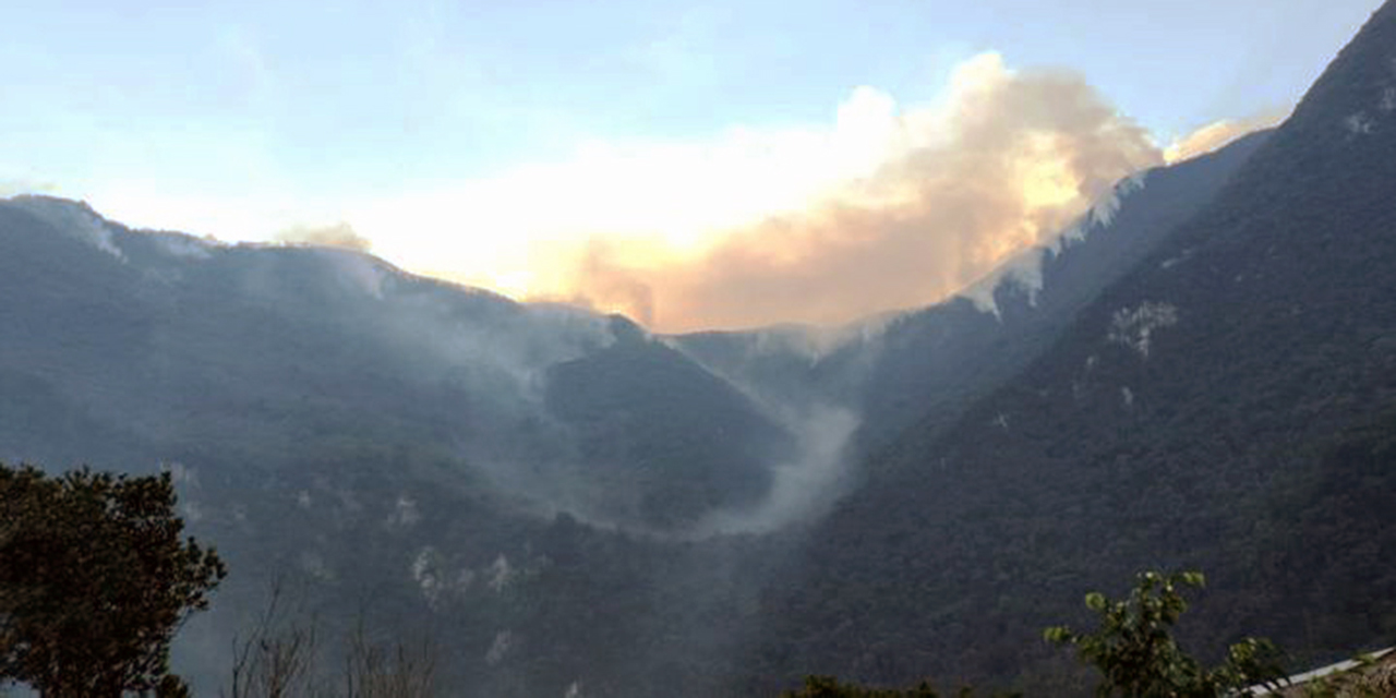 Foto: cortesía // Al menos 19 incendios se mantienen activos en la entidad; sólo en el municipio de San José Tenango, hay siete conflagraciones que arrasan con sus bosques.