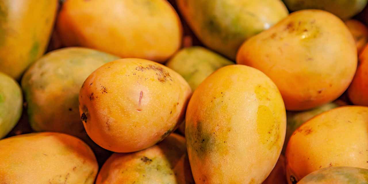 EU suspende inspecciones de mango en Michoacán | El Imparcial de Oaxaca