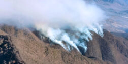 Foto: Archivo El Imparcial // El incendio forestal en San Lucas Quiaviní calcinó a cinco comuneros.