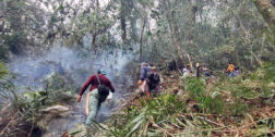 Foto: internet // Habitantes de San José Tenango combaten los incendios en varios frentes.