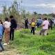 Planta Oaxaca de Juárez 200 pochotes en ribera del Río Salado